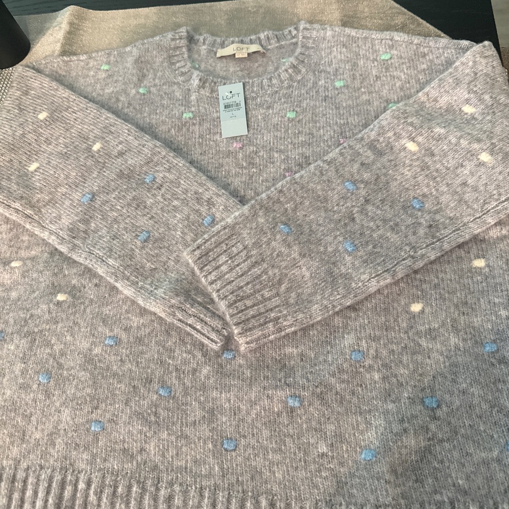 LOFT NWT Sweater